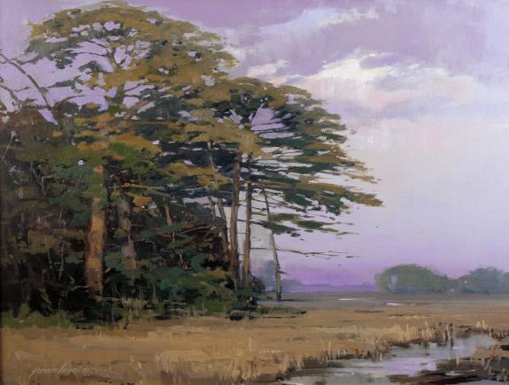 Jamaica Point Pines